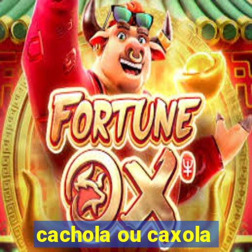 cachola ou caxola